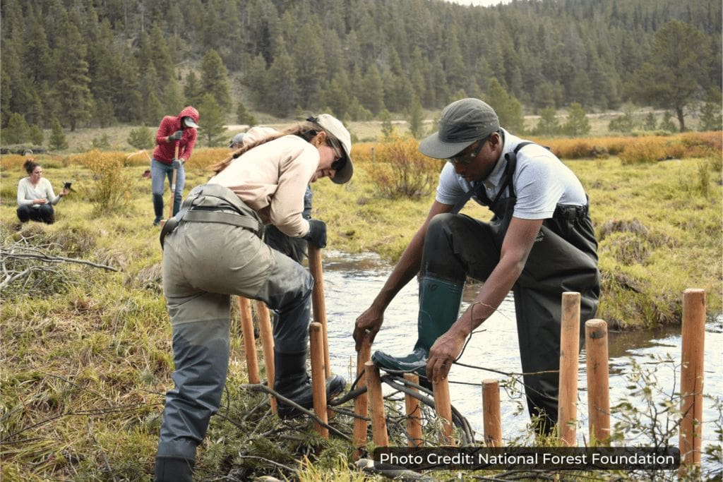 Photo of two volunteers pushing posts into a wetland along a riverbank, an example of a nature-based solution on the Colorado River.
