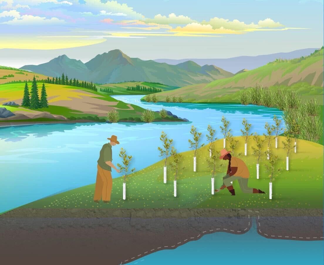 Digital illustration of floodplain restoration. Background is a river flowing out of green mountains. In the foreground, two people are planting trees along the river above a depiction of an underground reservoir.
