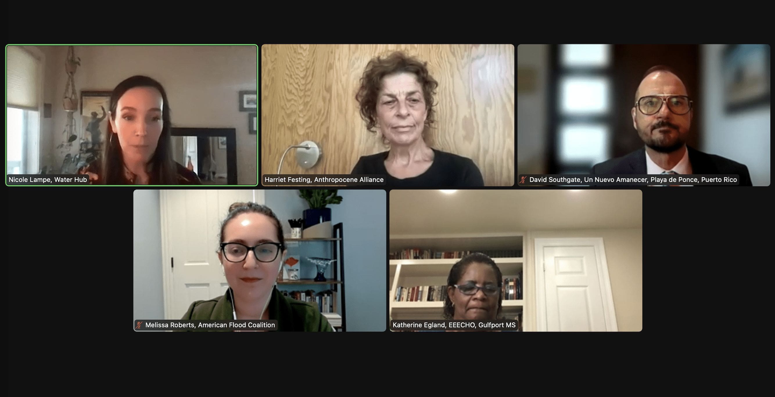 Water Hub flood justice briefing- a zoom screenshot with Nicole Lampe, Harriet Festing, Melissa Roberts, David Southgate, and Katherine Egland