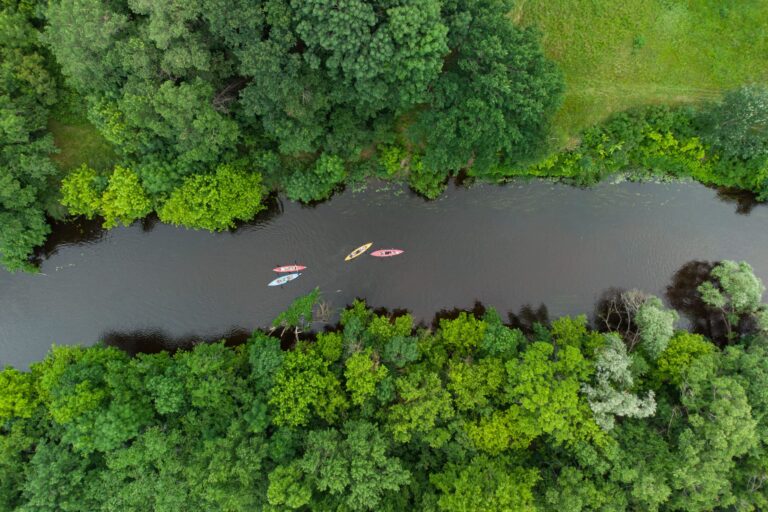 aerial view of a large group of kayaks traveling on a forest river on a summer day