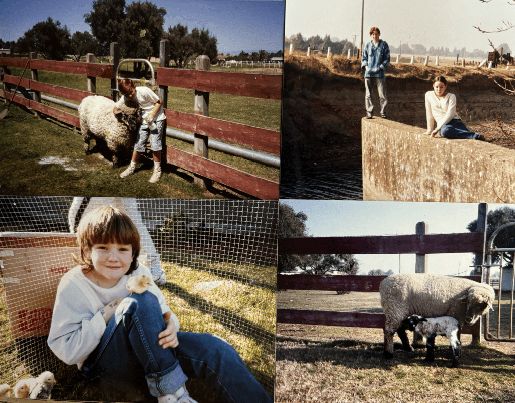 A photo collage of a Nicole's brother with a sheep, both of them sitting in Yosemite, Nicole as a little girl with chicks, and a mom and baby sheep