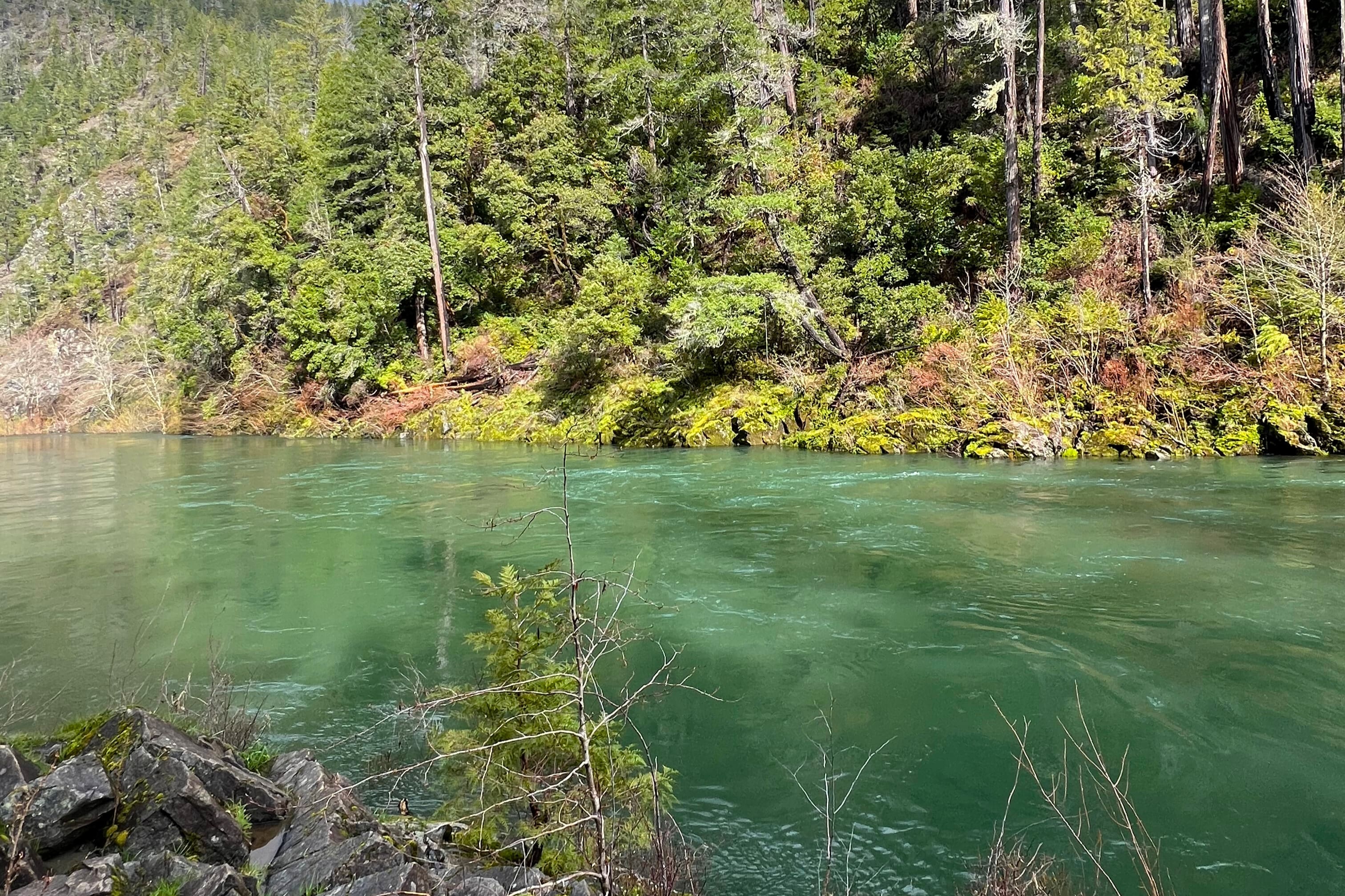a photo of the Smith River from Jessica's travels to Northern California