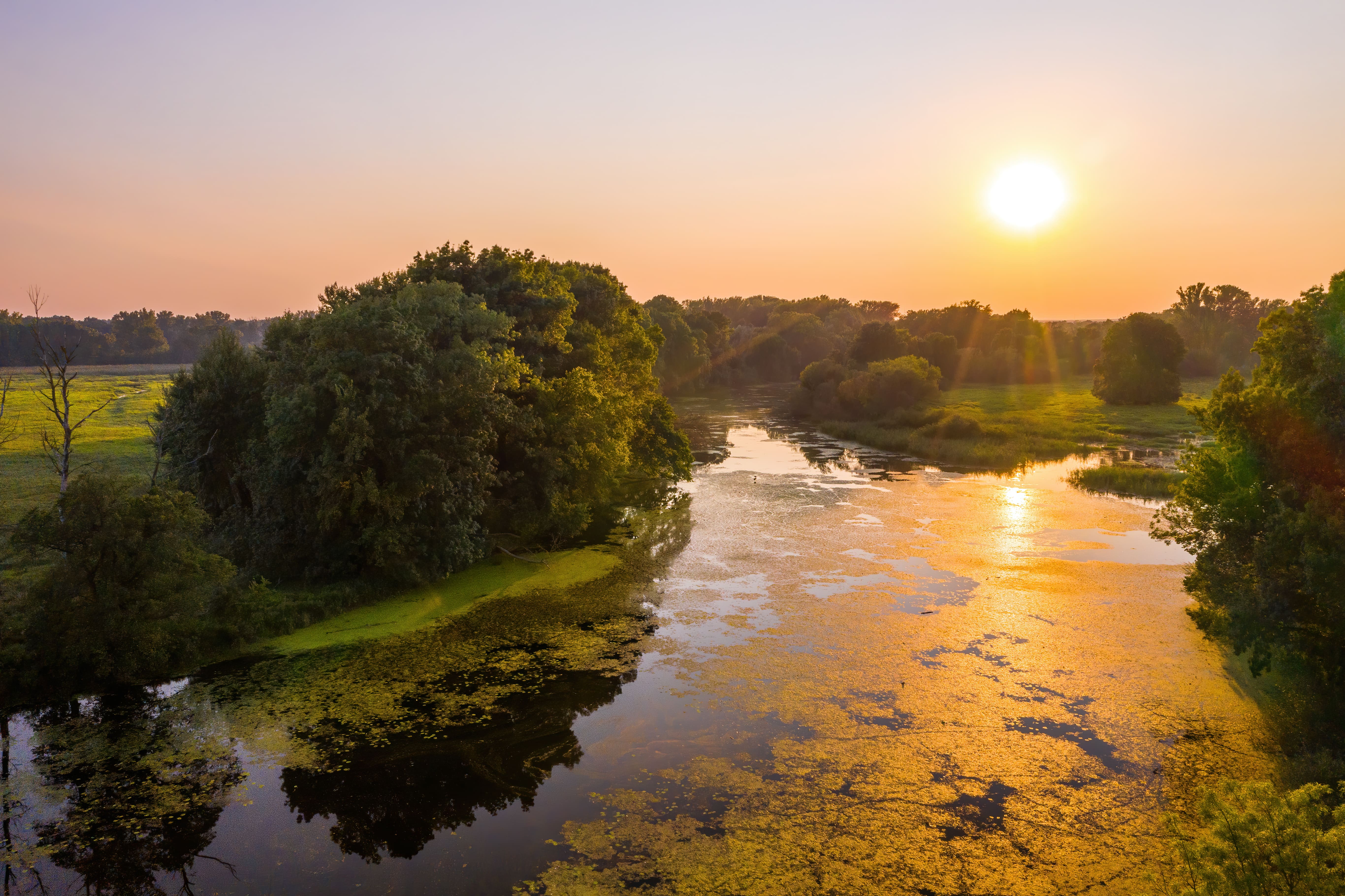 Sun setting over a river and trees in summer nature. Colorful evening outdoor scenery with green forest and water illuminated by warm light. Aerial view on fresh wilderness.
