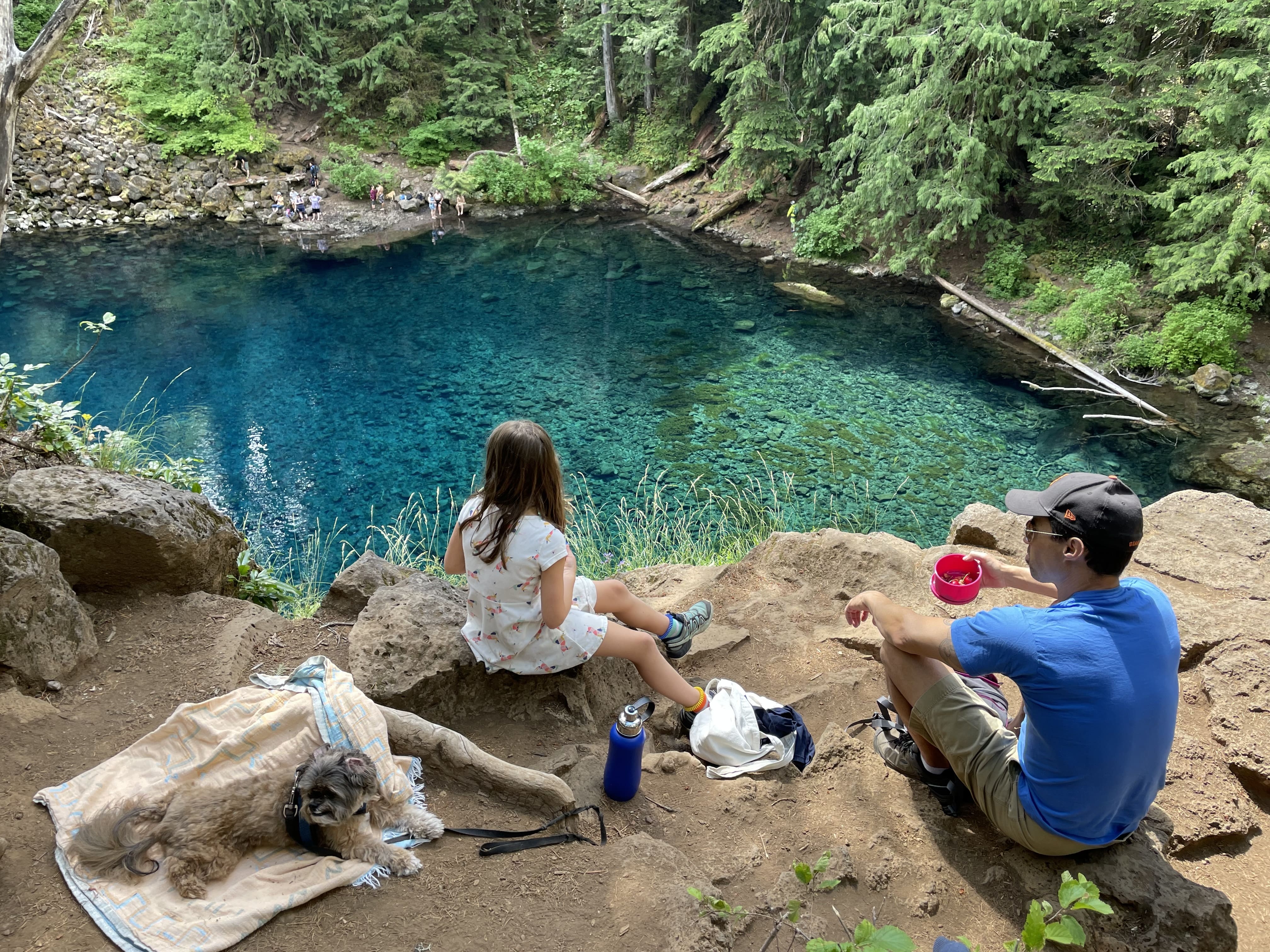 A photo of Nicole's family sitting by a beautiful blue pool of water in the forest