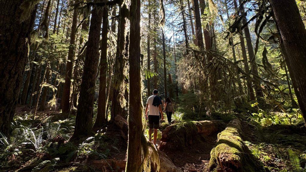 Two members of the Water Hub team hike in a old-growth redwood forest in Oregon.