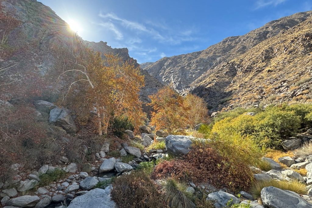 View a desert hike through Tahquitz Canyon