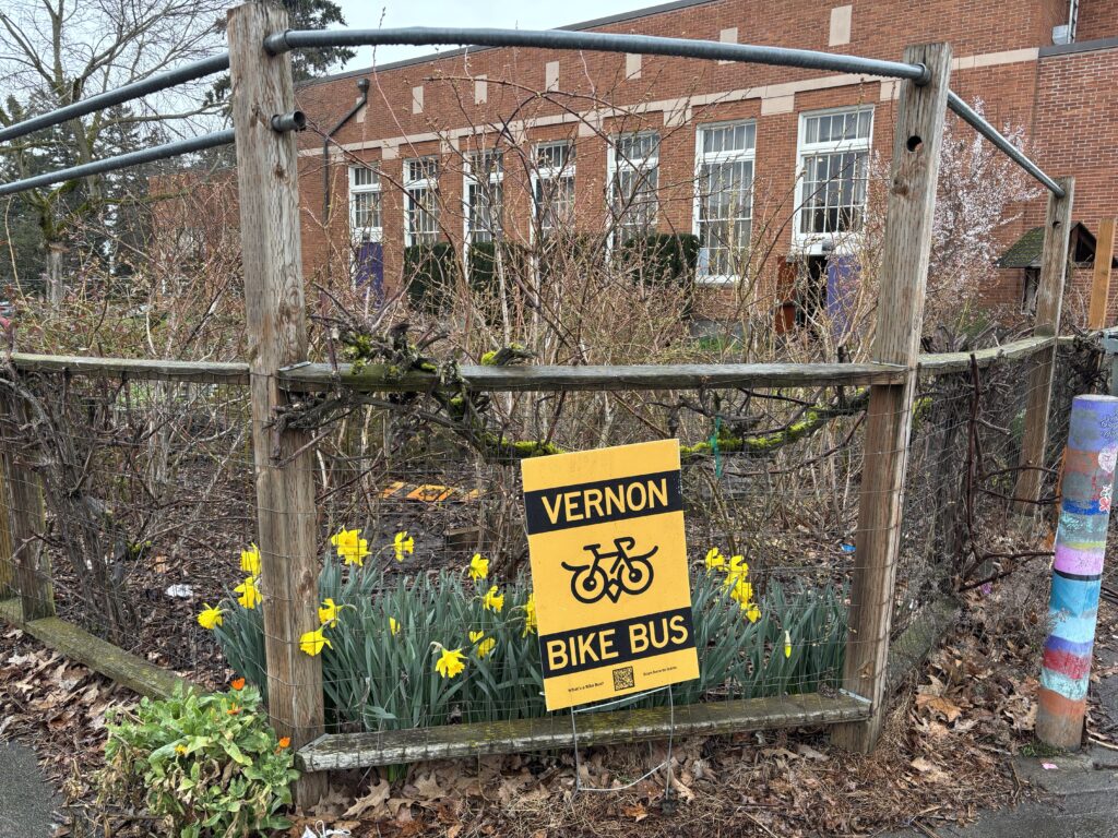 A photo of a gloomy day outside a Portland school but there's daffodils coming through the leaf litter