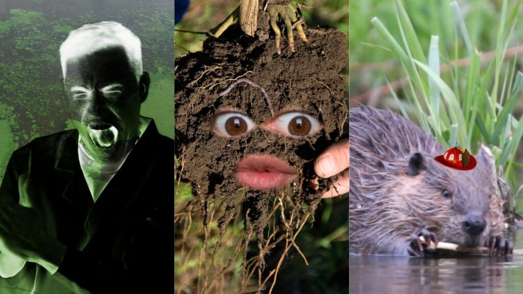 A collage featuring three screenshots from Water Hub-produced edutainment videos.