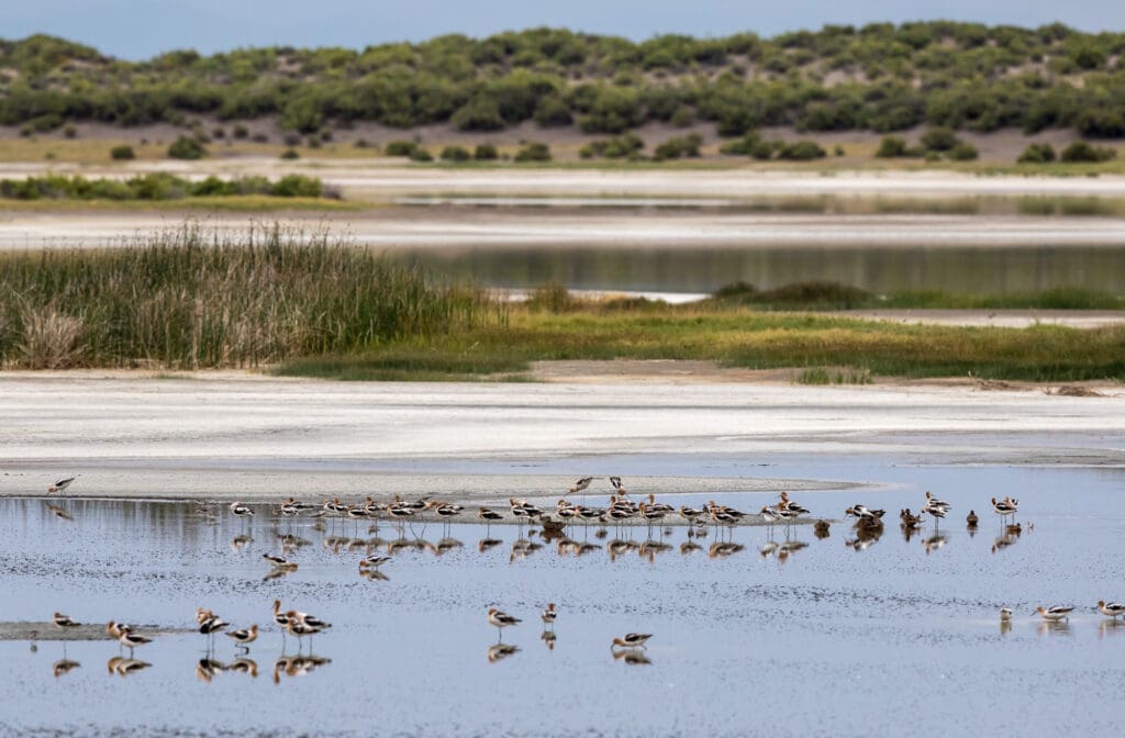 Blanca Wetlands Recreation Area in Colorado.