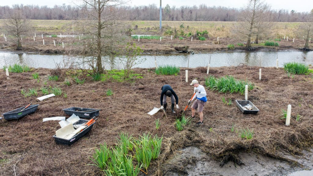 Members of the Central Wetlands Reforestation Collective plant trees as part of an effort to restore wetland landscapes along Louisiana’s coast. Photo Credit: Adam Copus / Louisiana Coastal Protection and Restoration Authority