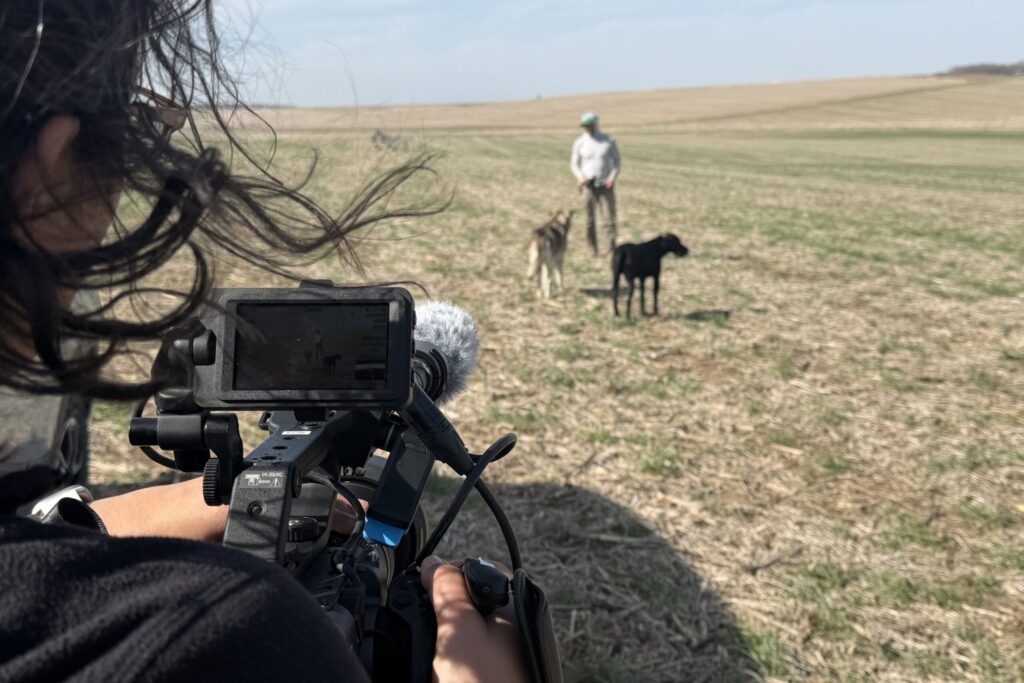 over the shoulder shot of someone filming a documentary on a farm
