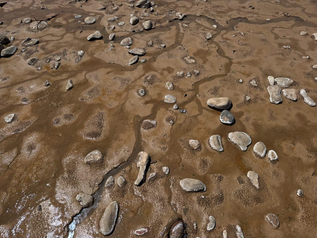 Exposed riverbed of the Colorado River near Grand Junction, Colorado, April 2026.