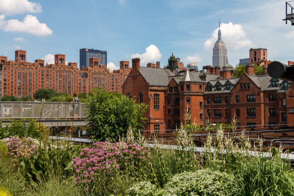 View from an elevated urban park (NYC’s High Line) with wildflowers and tall grasses in the foreground and a Manhattan skyline and brick apartment buildings in the background.